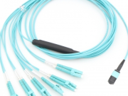 Tillämpningen av förbestämd fiber i datacentran
